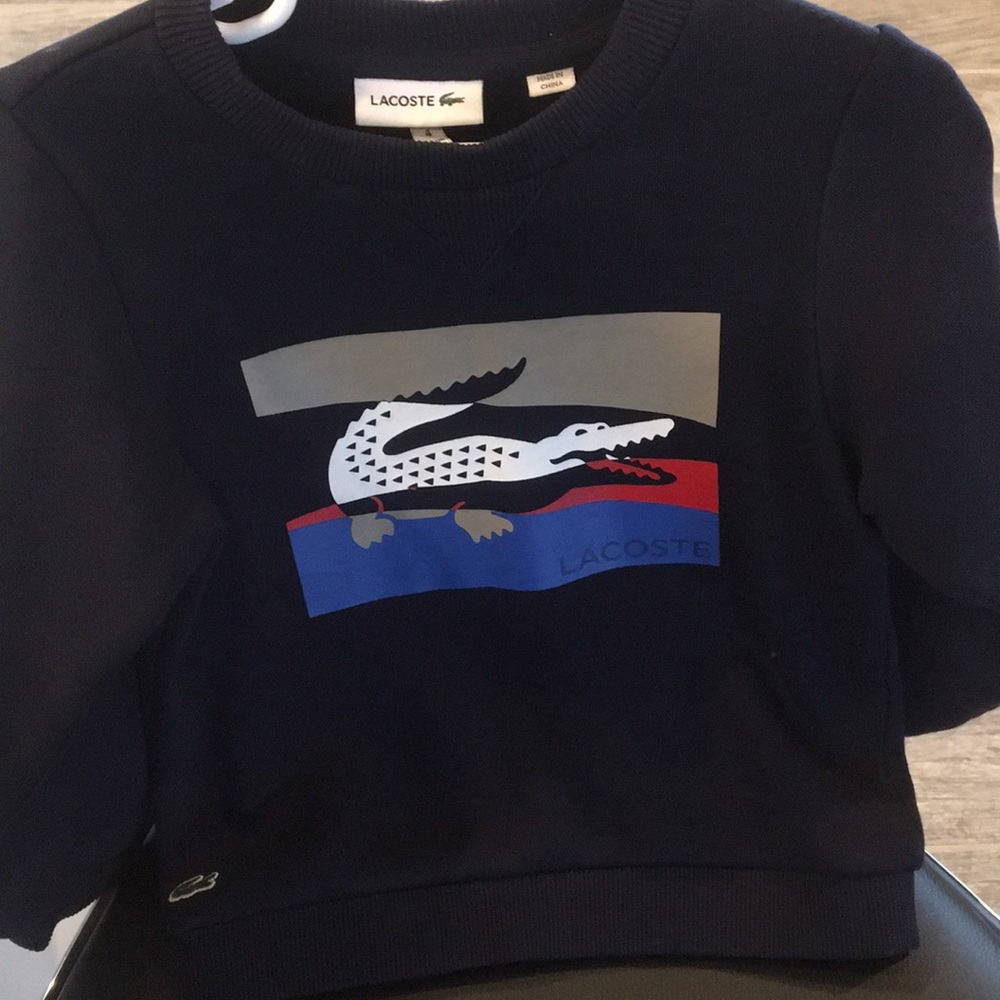Lacoste sweater shirt.